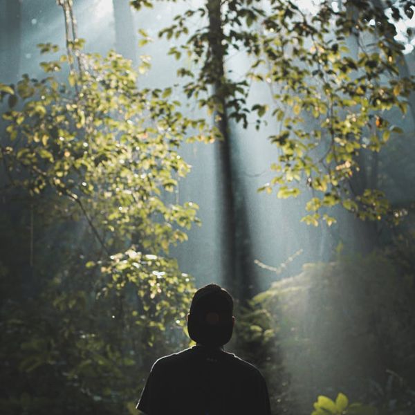 Person meditating in a calm natural environment at sunrise.